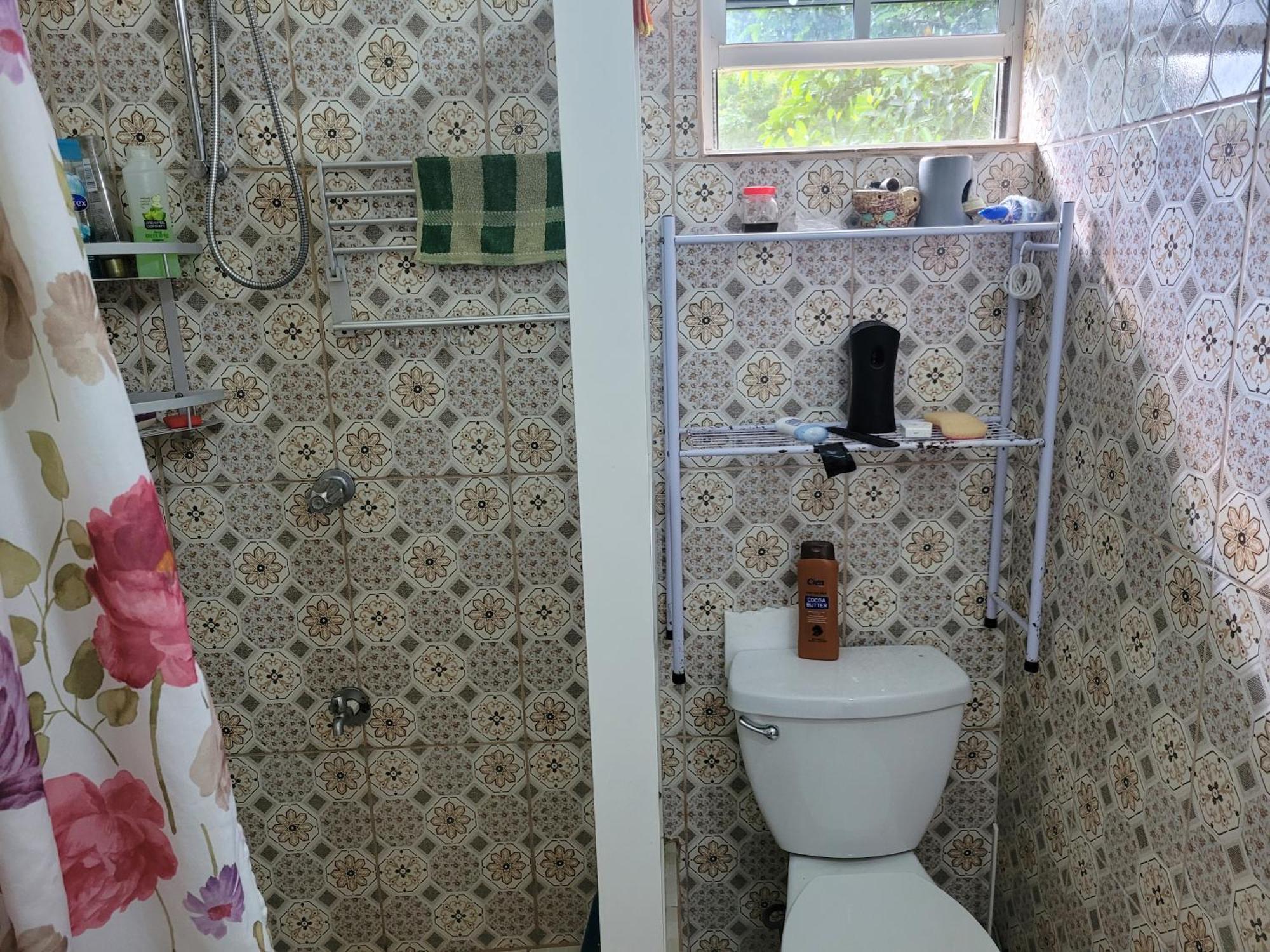 Tim'S & Mag'S Home Stay Roseau Kültér fotó